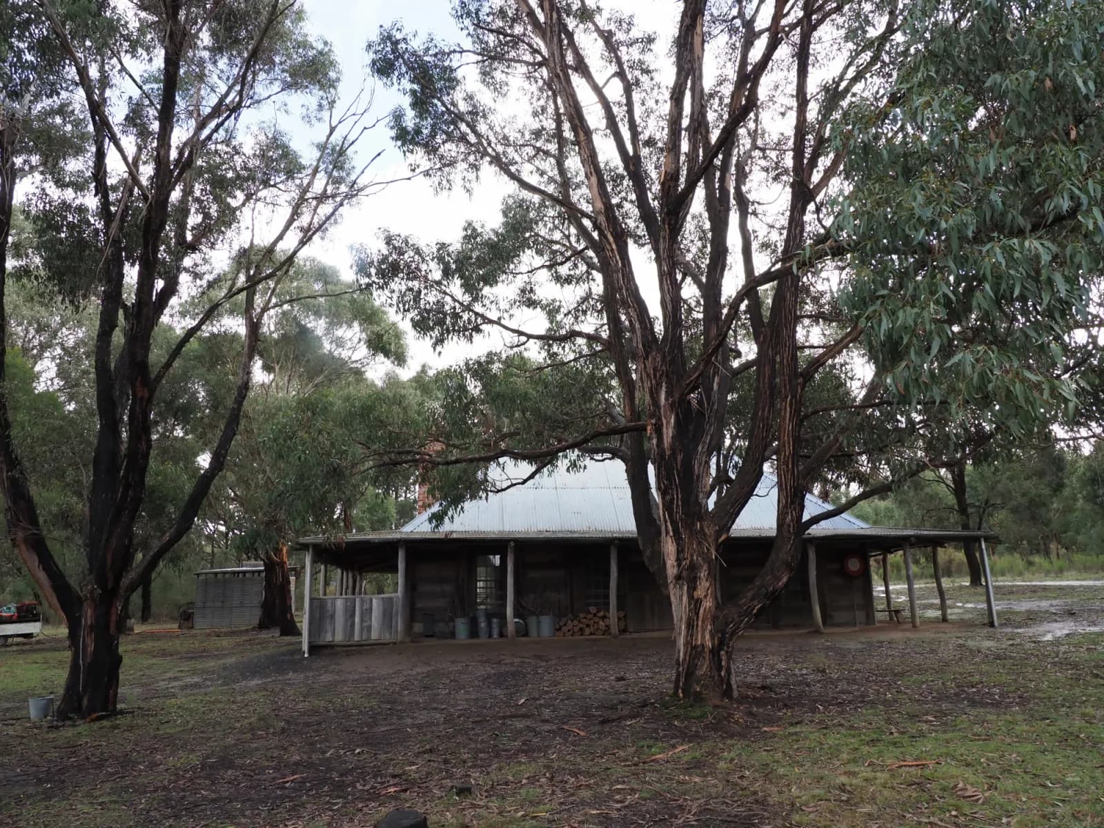 House in the forest