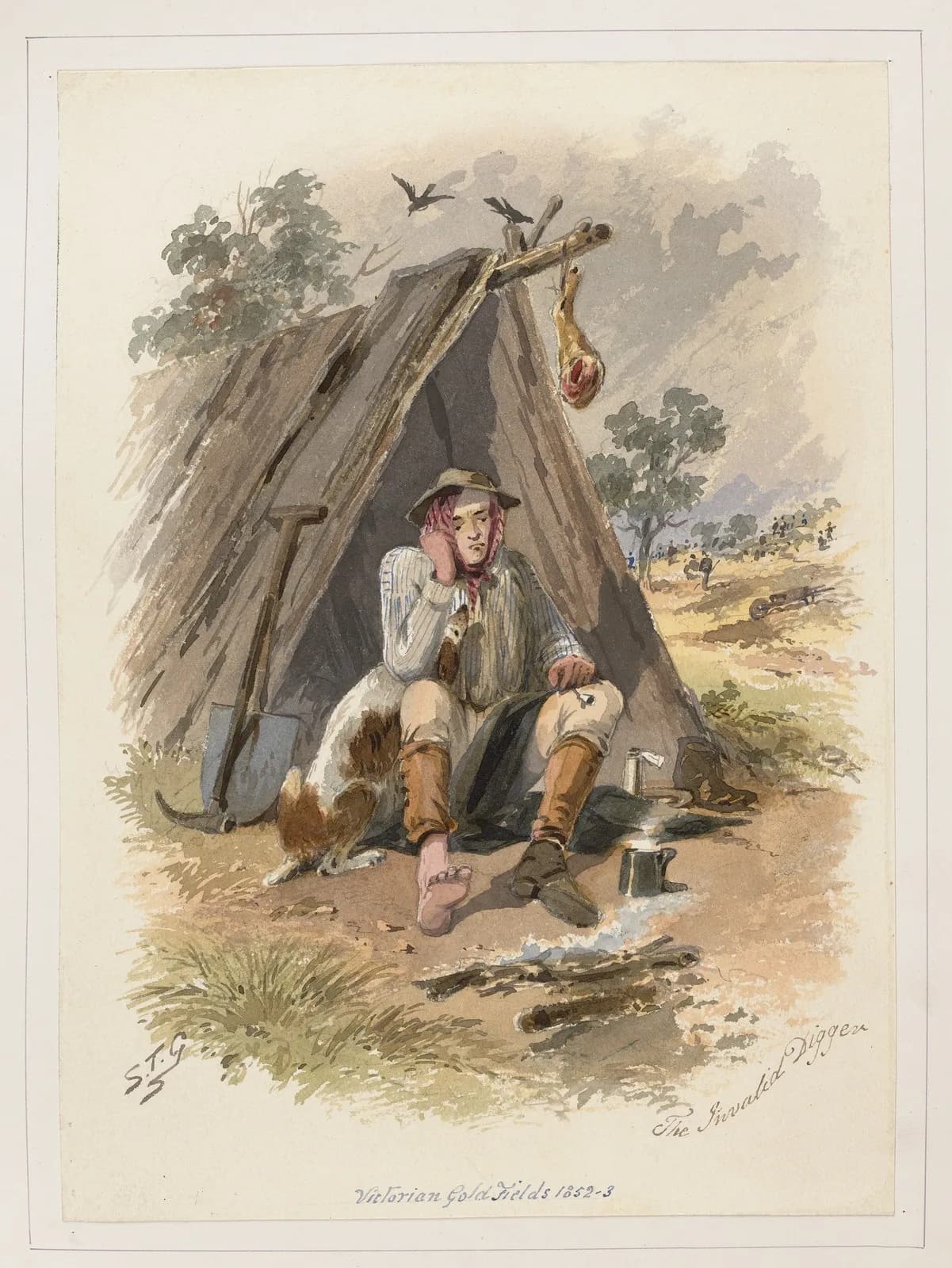 Health on the goldfields: Surviving the gold rush