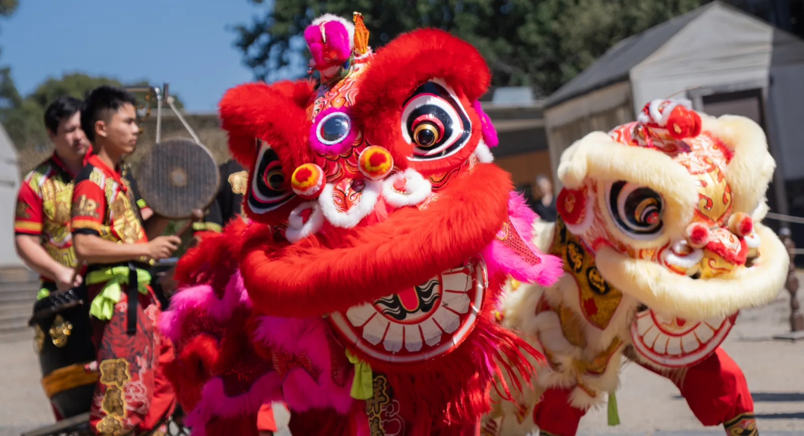 Vibrant red and white lion dance performers at Sovereign Hill, bringing festive energy to the historic gold rush town with traditional costumes and dynamic movements under bright daylight. Perfect for cultural celebrations and heritage events at Sovereign Hill.