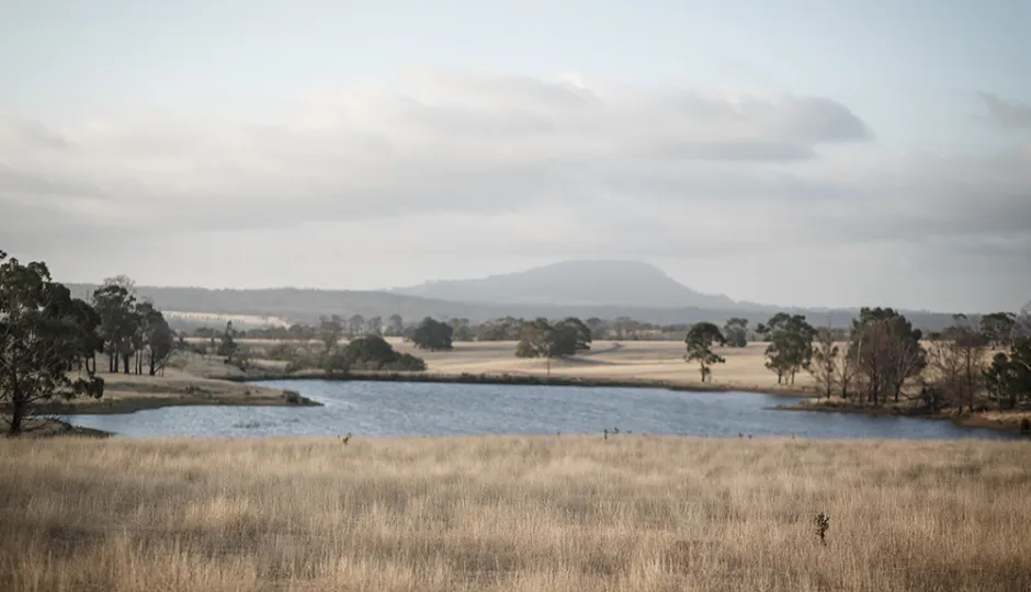 Narmbool Farm