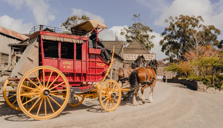 Horse-drawn carriage