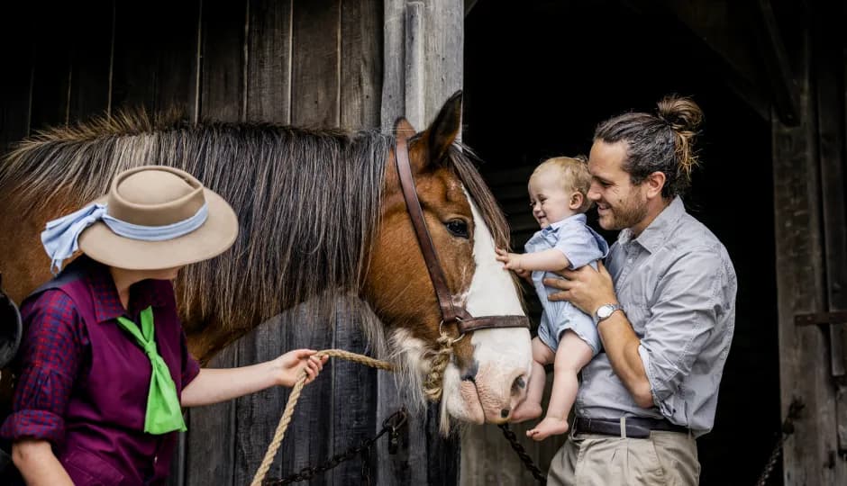 Baby touching horse