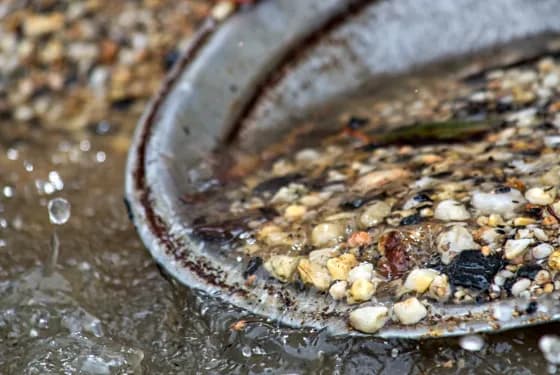 Gold panning in river