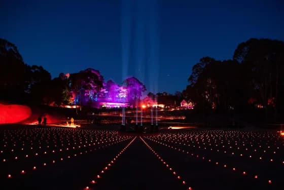 Illuminated night festival with twin beams of light, purple-lit trees, and rows of glowing lanterns leading to a central stage