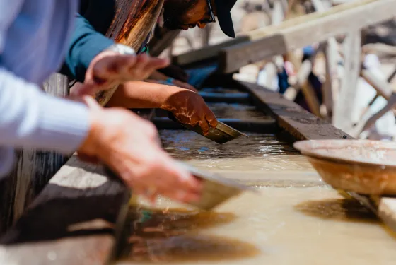 Hands working on wet surface with tools. Close-up of traditional craftsmanship process of gold panning in Ballarat
