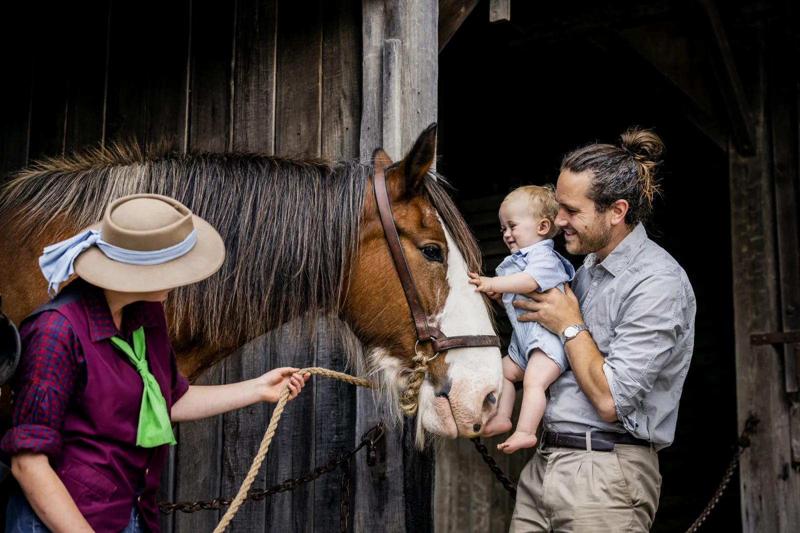 Baby touching horse