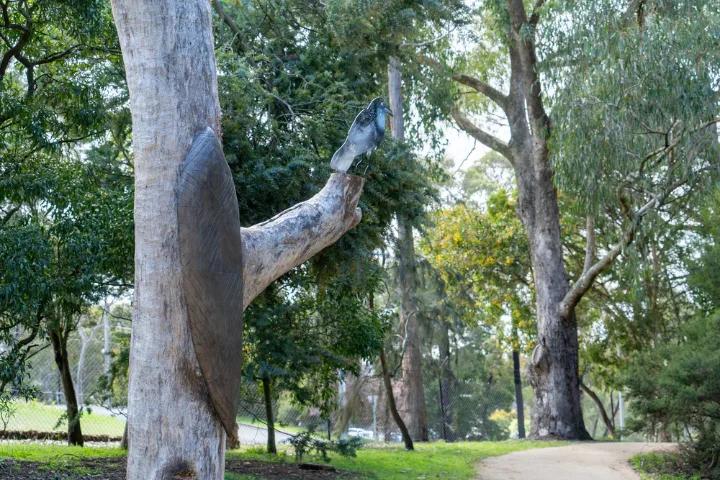 A close-up of a large tree trunk with a branch extending to the right, showing a blue bird sculpture attached, with a path and other trees visible in the background.