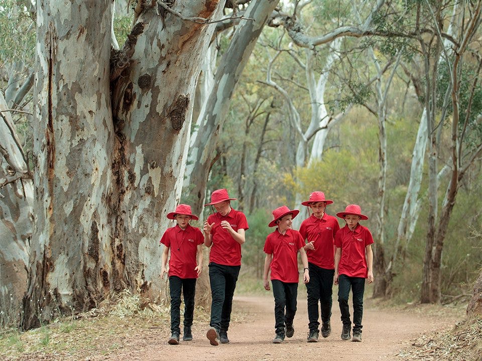 The Australian Boys Choir Tour