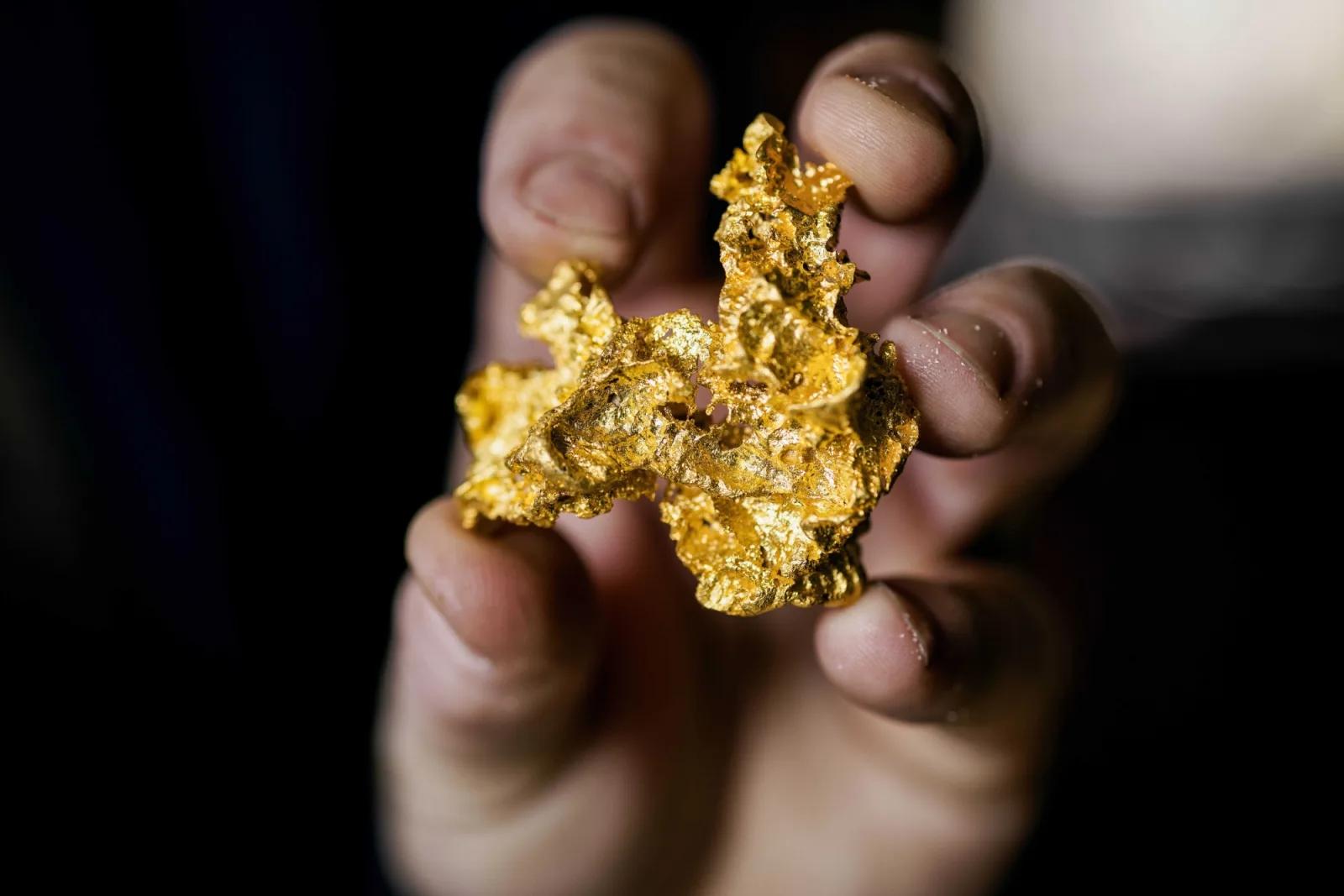 Close-up of a hand holding a freshly poured, irregular gold specimen during a gold demonstration at Sovereign Hill.