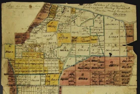 Hand-drawn historical land map from the Beggs family collection showing numbered allotments, property boundaries and coloured survey sections near Eurambeen Station.