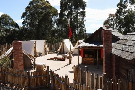 Chinese People on the Goldfields Level 5-6* +